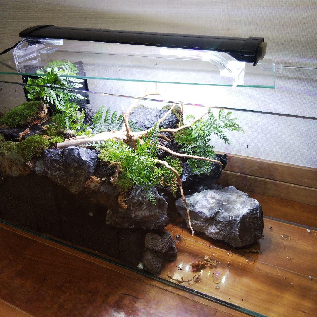 【受注生産】滝のあるアクアテラリウム　イモリウム　苔テラリウム　テラリウム