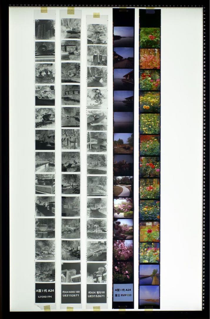 Hasselblad a12 改造済み品 13枚撮り②