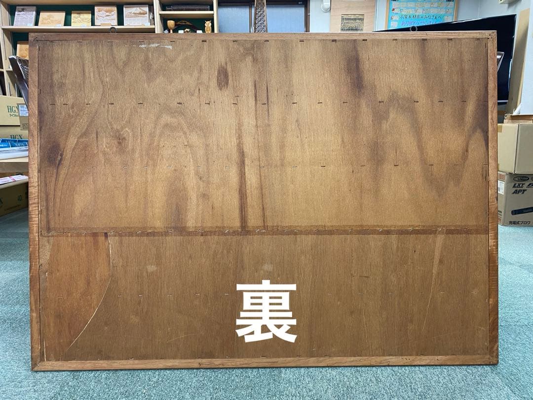 木材標本　3種【日本国産・外国産・熱帯産】