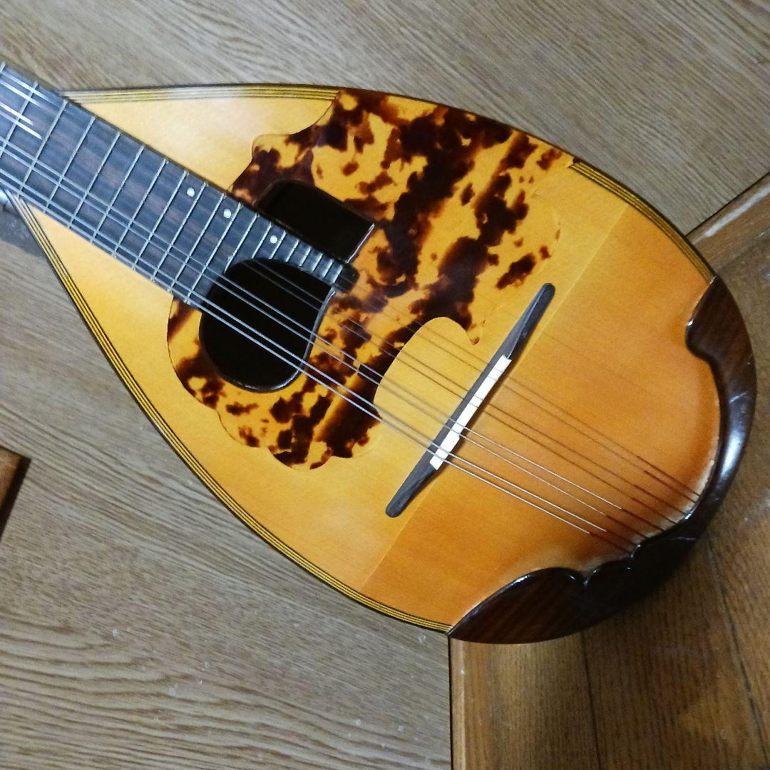 マンドリン＆ハ－ドケース