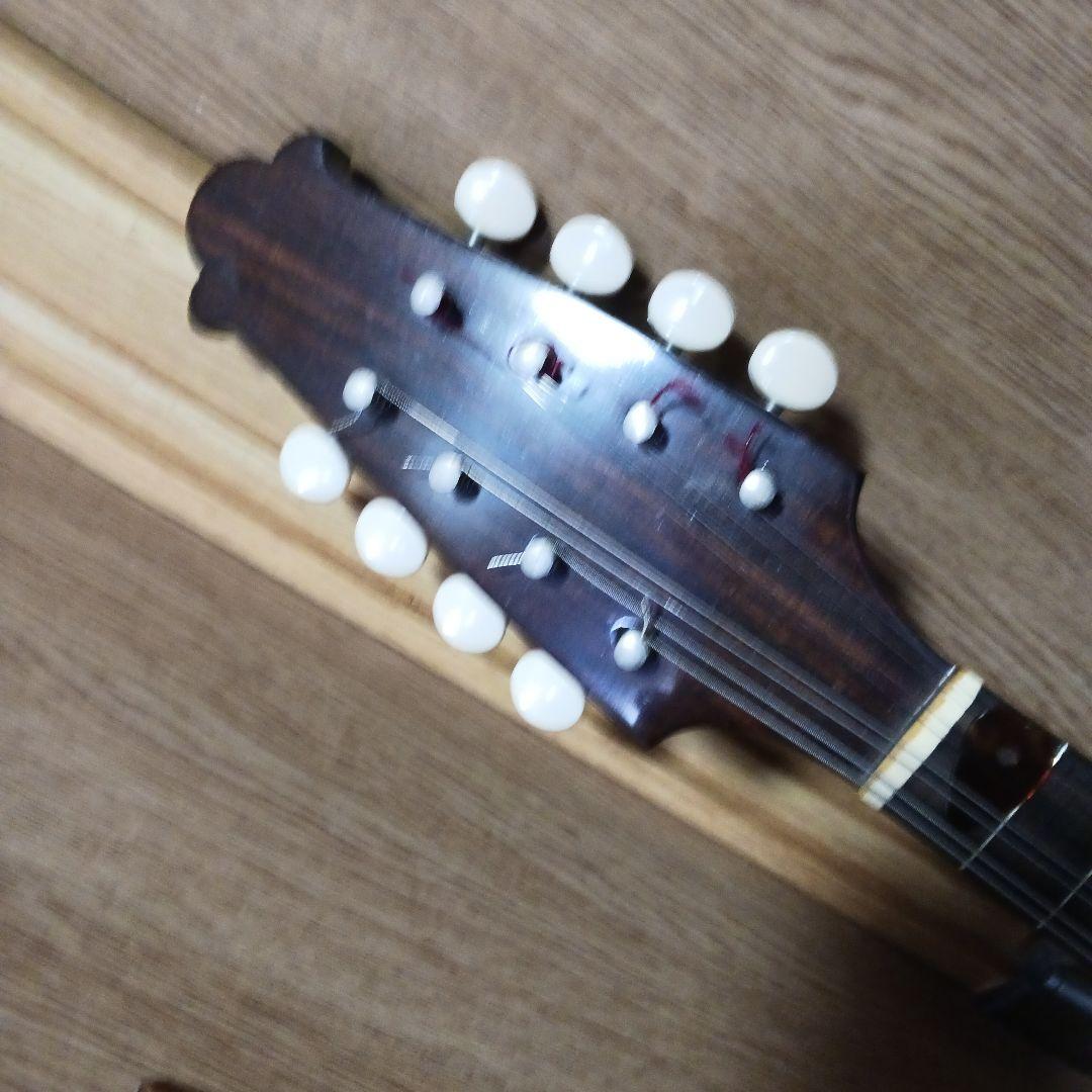 マンドリン＆ハ－ドケース