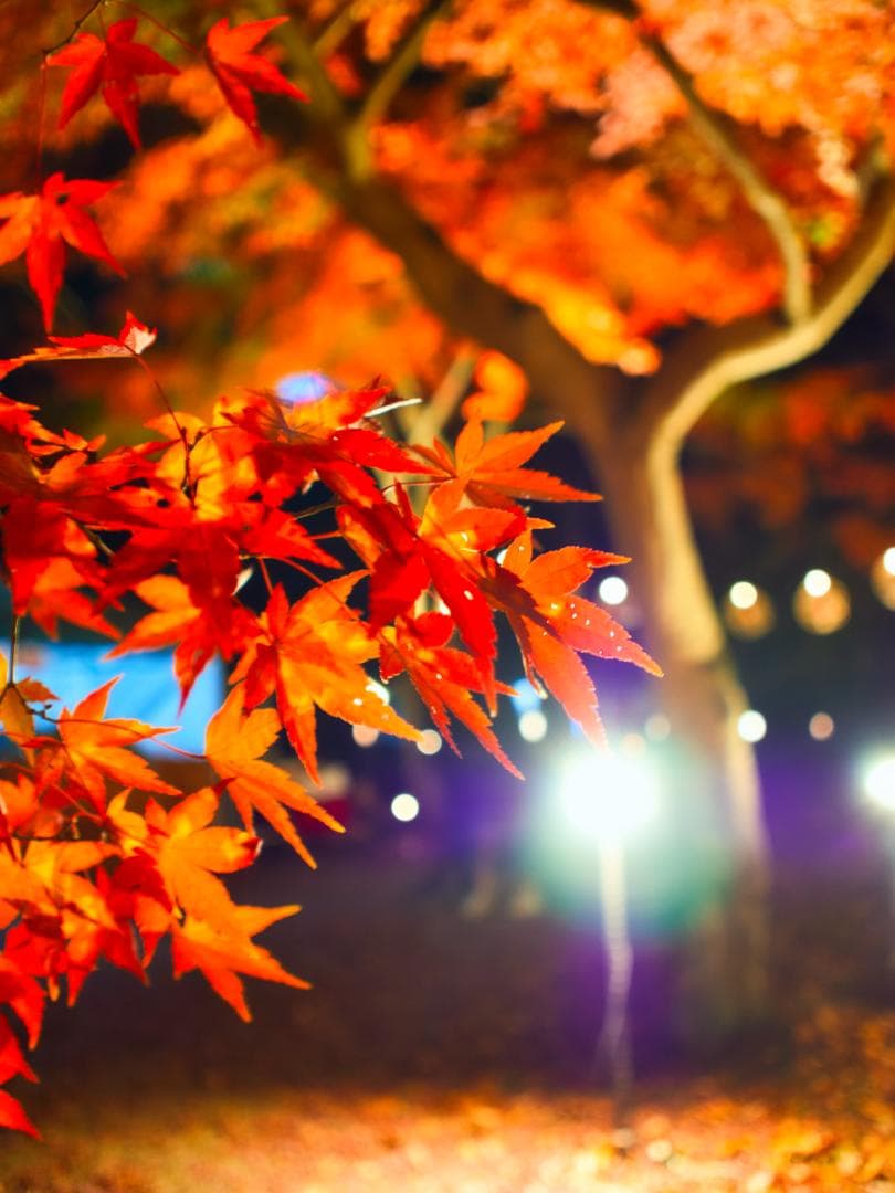 【使用数か月】OLYMPUS PEN E-P7 EZ ボディ+レンズ