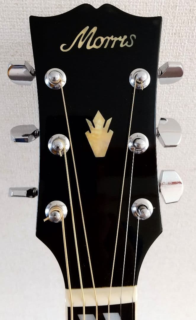 アコースティックギター Morris  WD-30