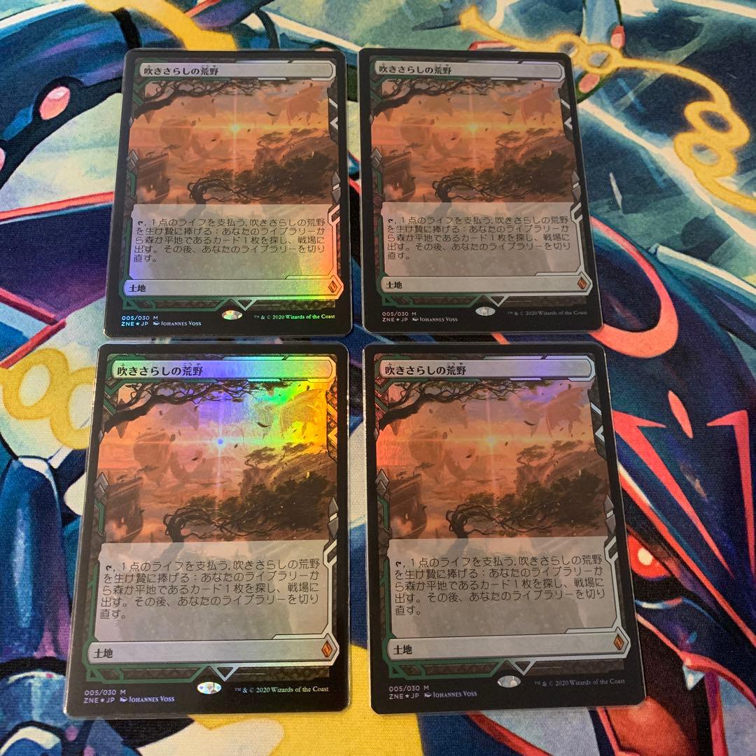 吹きさらしの荒野　拡張　foil 4枚