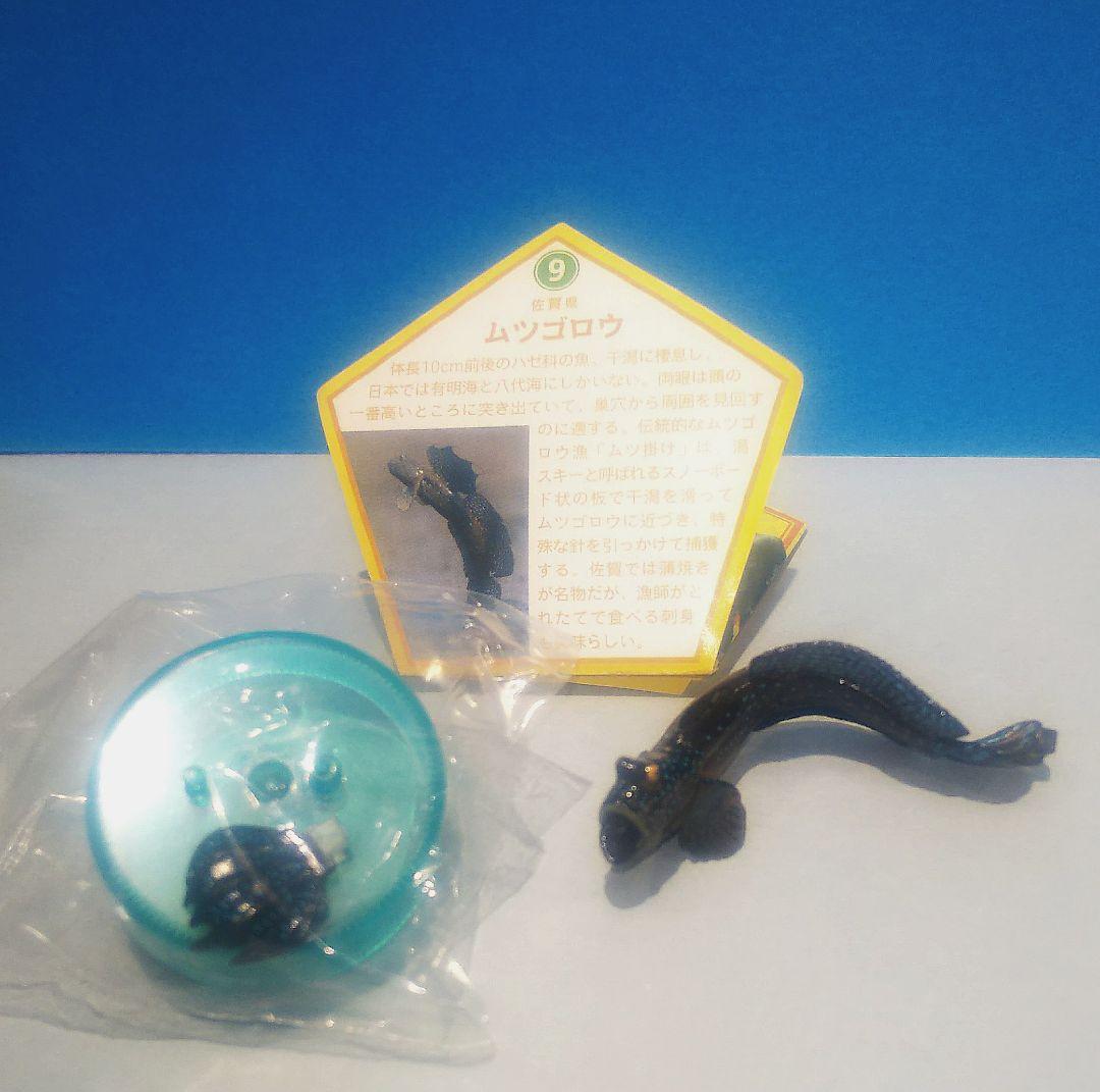 ムツゴロウ 九州物産展