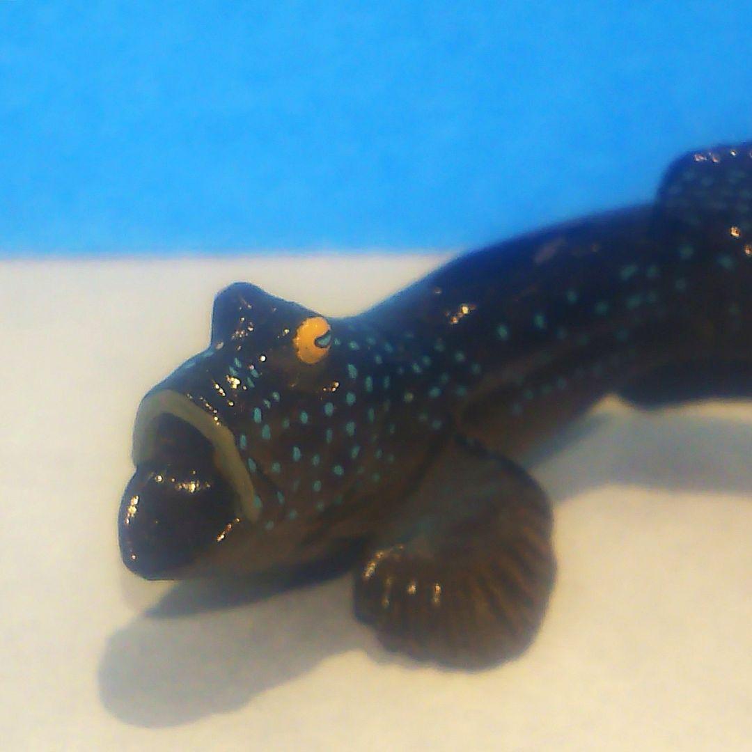 ムツゴロウ 九州物産展