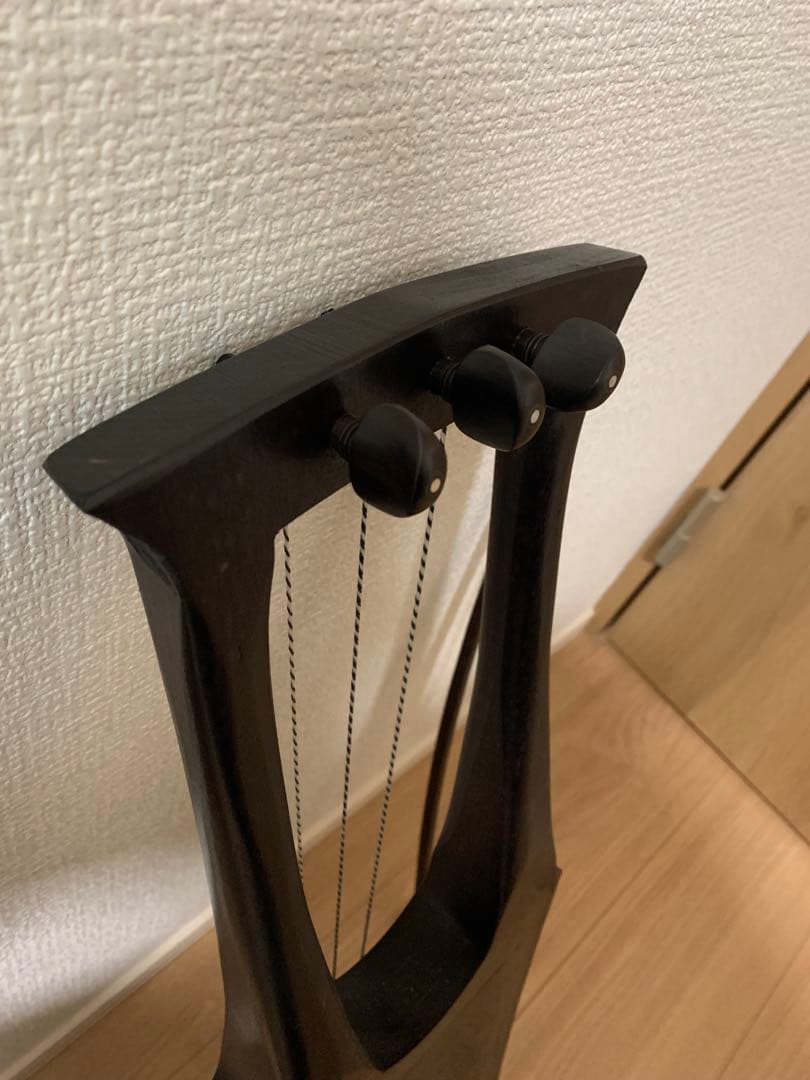 Tagelharpa タールハルパ Talharpa 北欧　民族楽器 職人手作り