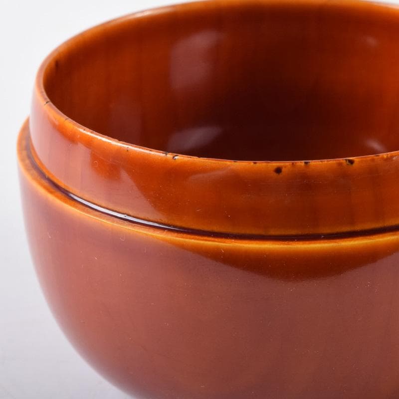 茶道具　飛騨春慶塗　岩本漆器店　大平棗　共箱　V　7307