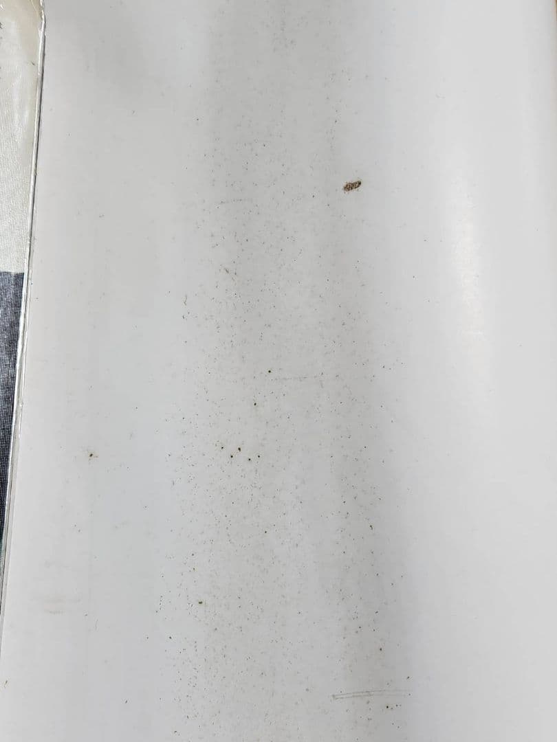 中山美穂　KOSE rouge freedice 販促用 特大B0 ポスター