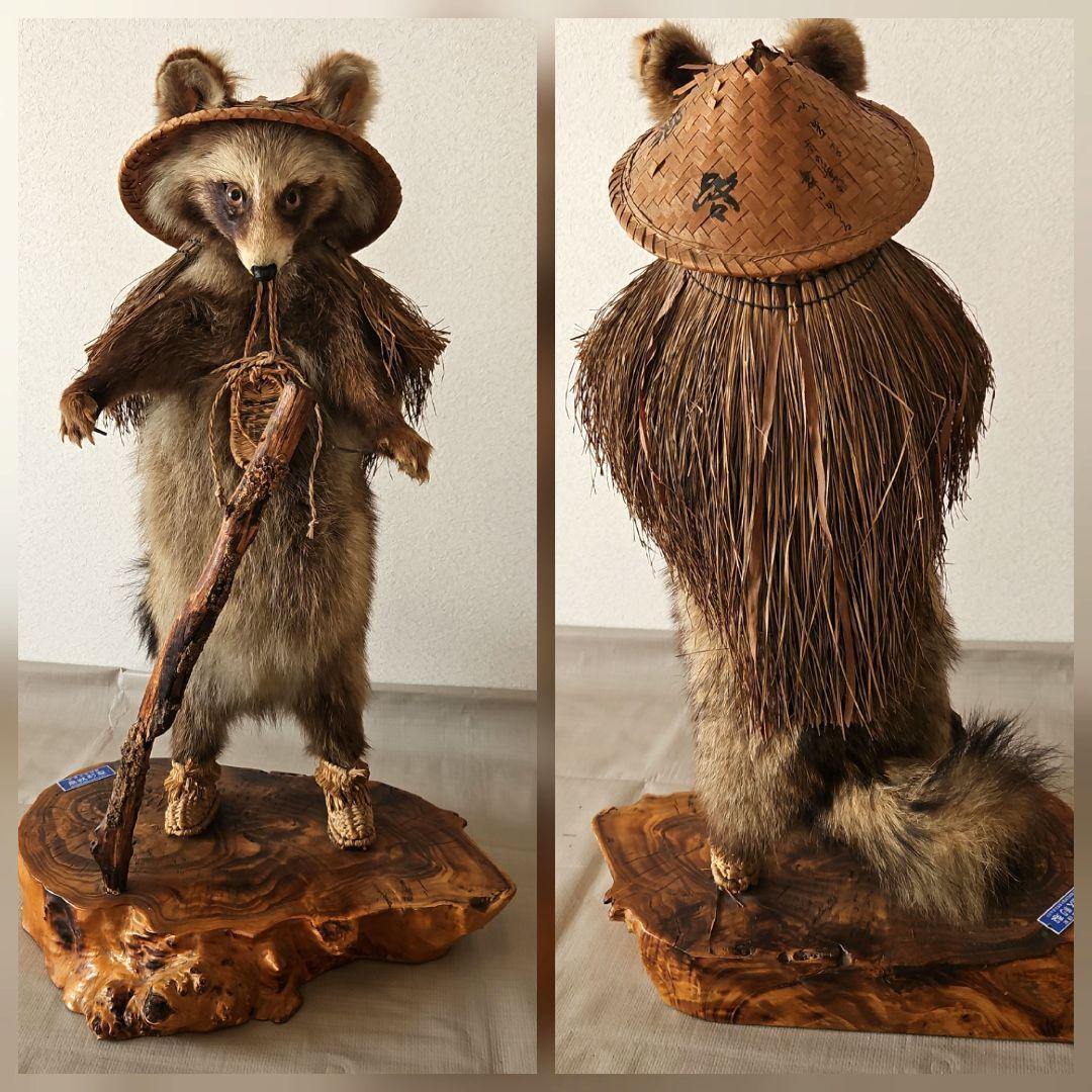 タヌキ　狸　鳥獣　剥製　本物　縁起物　商売繁盛　出世運　天然木　台座付き