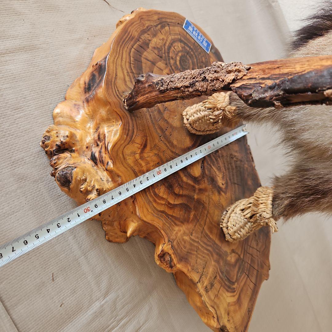 タヌキ　狸　鳥獣　剥製　本物　縁起物　商売繁盛　出世運　天然木　台座付き