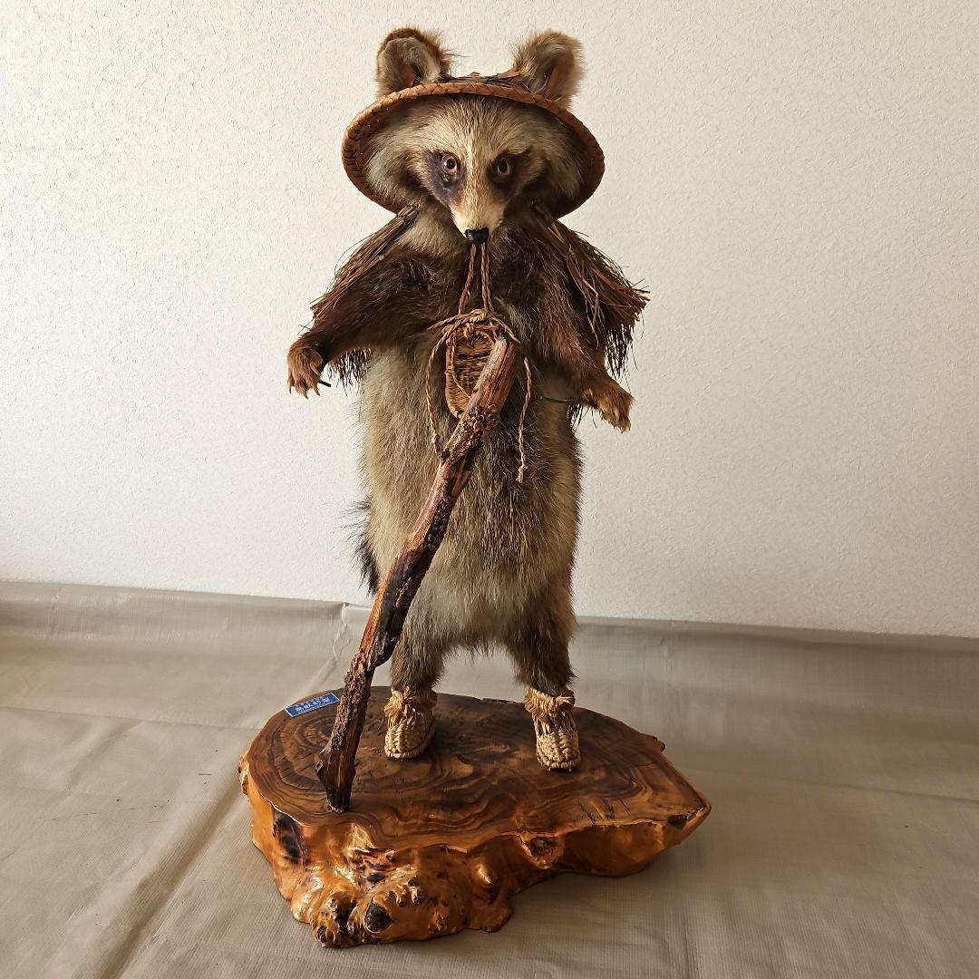 タヌキ　狸　鳥獣　剥製　本物　縁起物　商売繁盛　出世運　天然木　台座付き