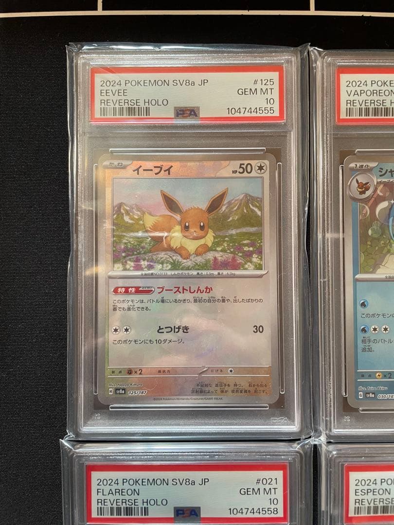 PSA10 ブラッキー 他 ブイズ モンスターボール 9枚連番 テラスタルフェス