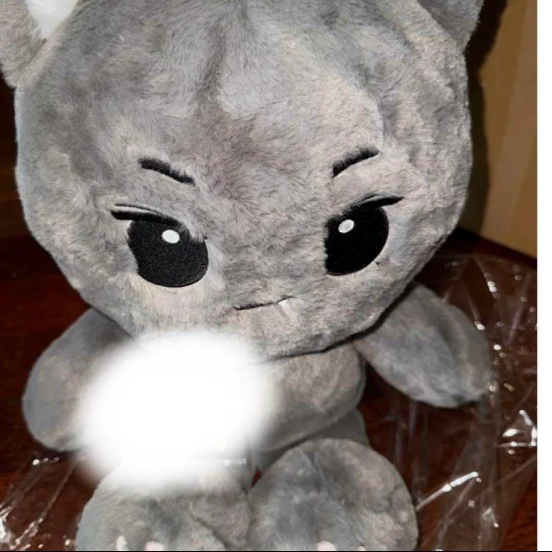 ほ*ち様 【新品未開封】ENHYPEN ジェイ　40cmドール　マスター【希少】