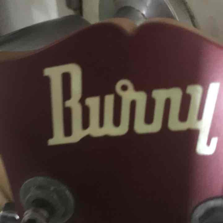 ブランドburnyギター 送料無料 9\10まで