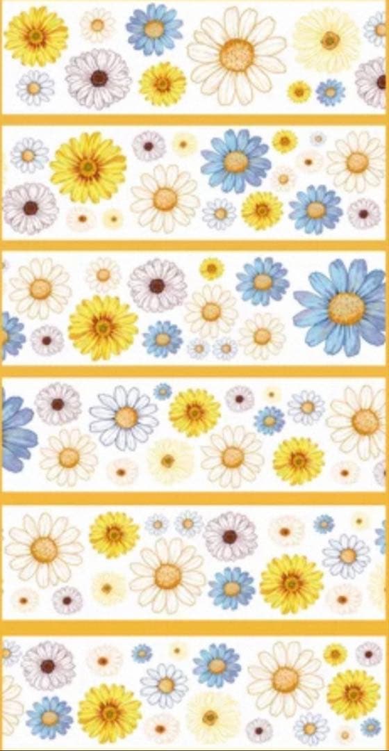 贝壳光 晴昼 ダイカット加工 6cm×5m 海外マステ　マーガレット　花