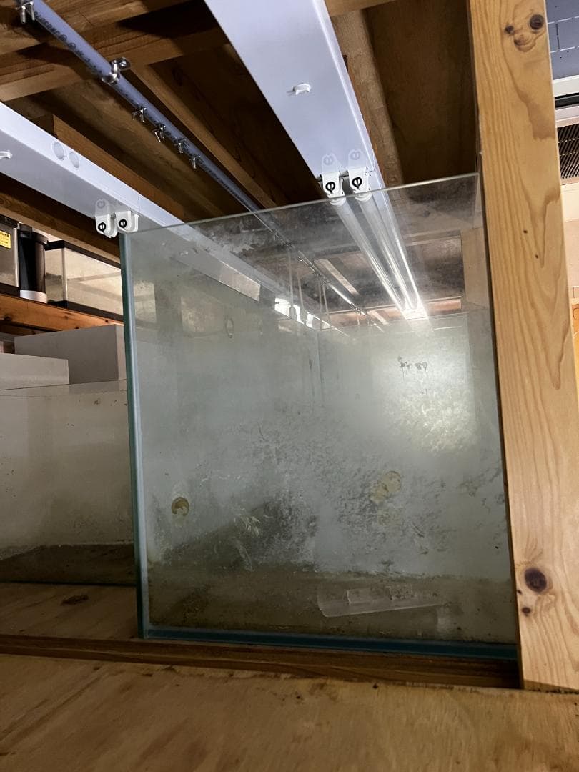 大きめ ガラス水槽 使用済品 中古 汚れあり 引き取り限定(埼玉)