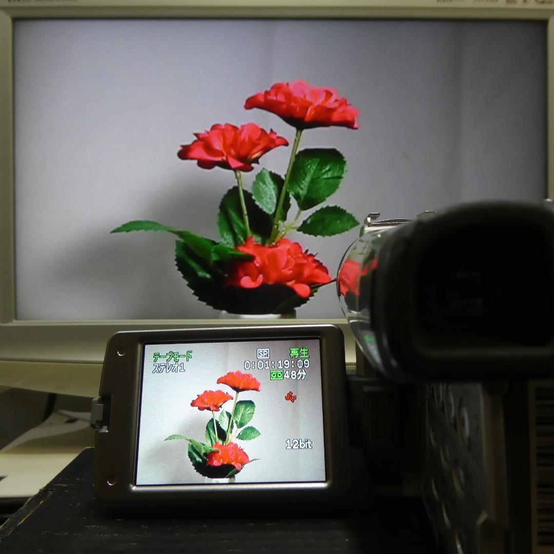 美品・動作良好 キャノン DM-FV M200 MiniDVビデオ DVD化に