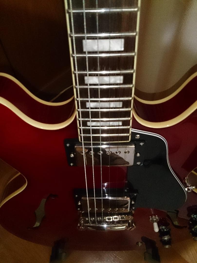 【ハードケース付属】 Burny SRSA65 ES-335タイプ