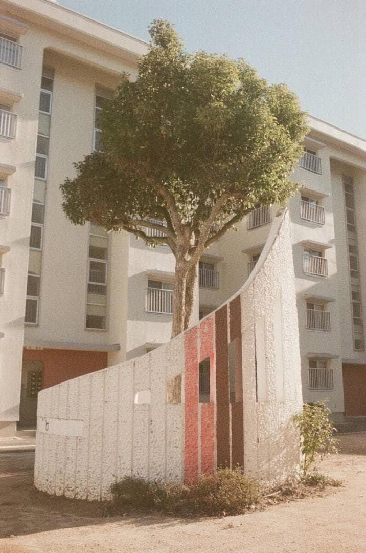 作例あり★フイルム実写OK!／ペンタックスSP＋レンズSuper-Takumar