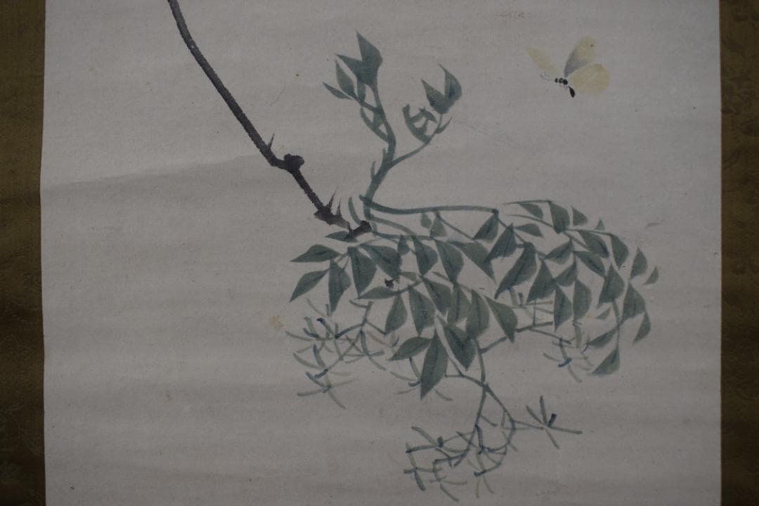 松村景文/蝶之図/花蝶図/掛軸/名家伝来/Z-517