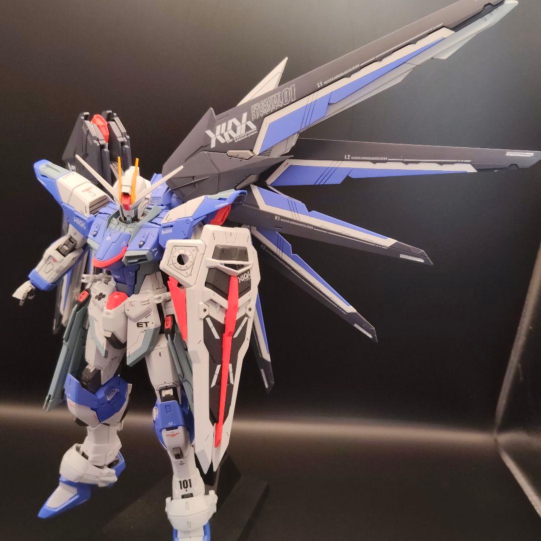 MG（ライジングフリーダム風）フリーダムガンダムver.2.0 全塗装