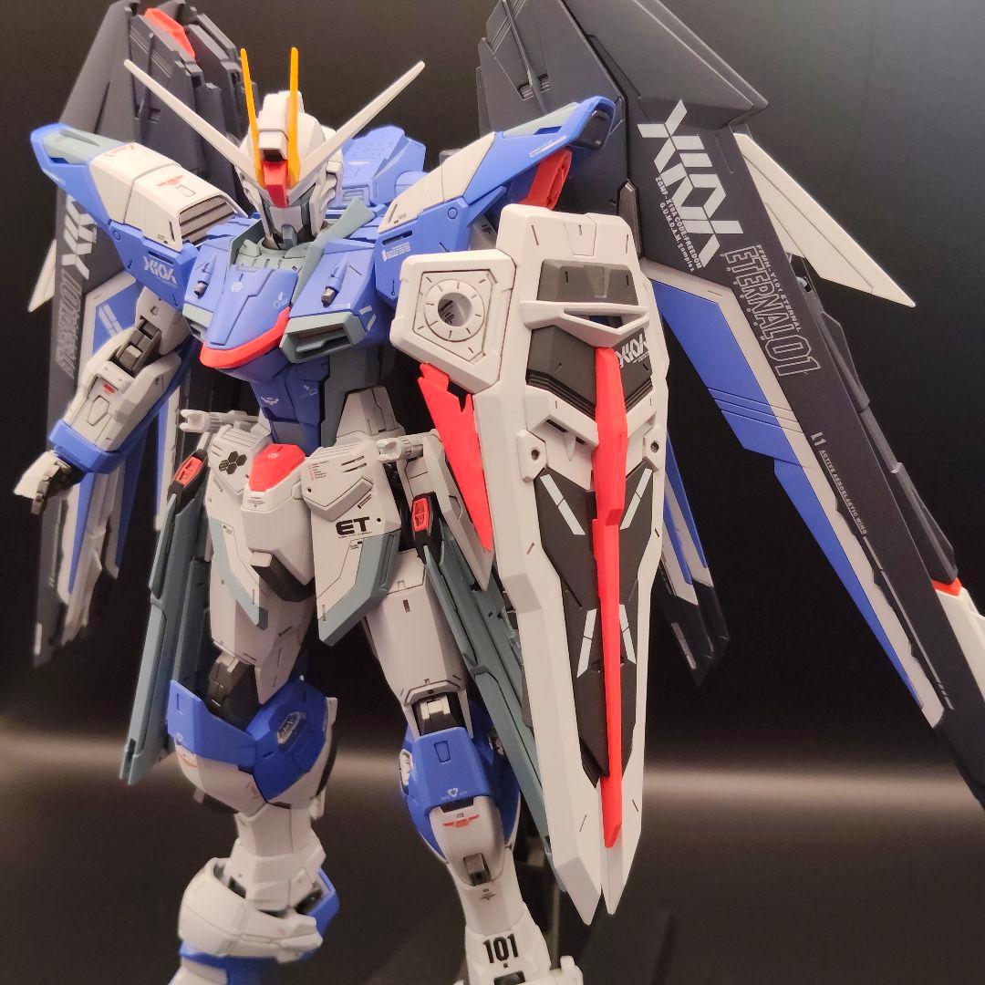 MG（ライジングフリーダム風）フリーダムガンダムver.2.0 全塗装
