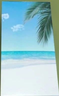 Fate 一番くじ C賞ムーンキャンサー テノチティトラン フィギュア おまけ付