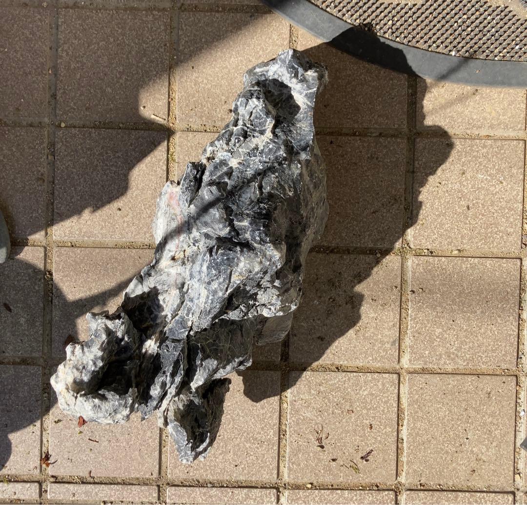 龍王石　ADA アクアリウム　特大　親石　石組レイアウト　水草　水槽