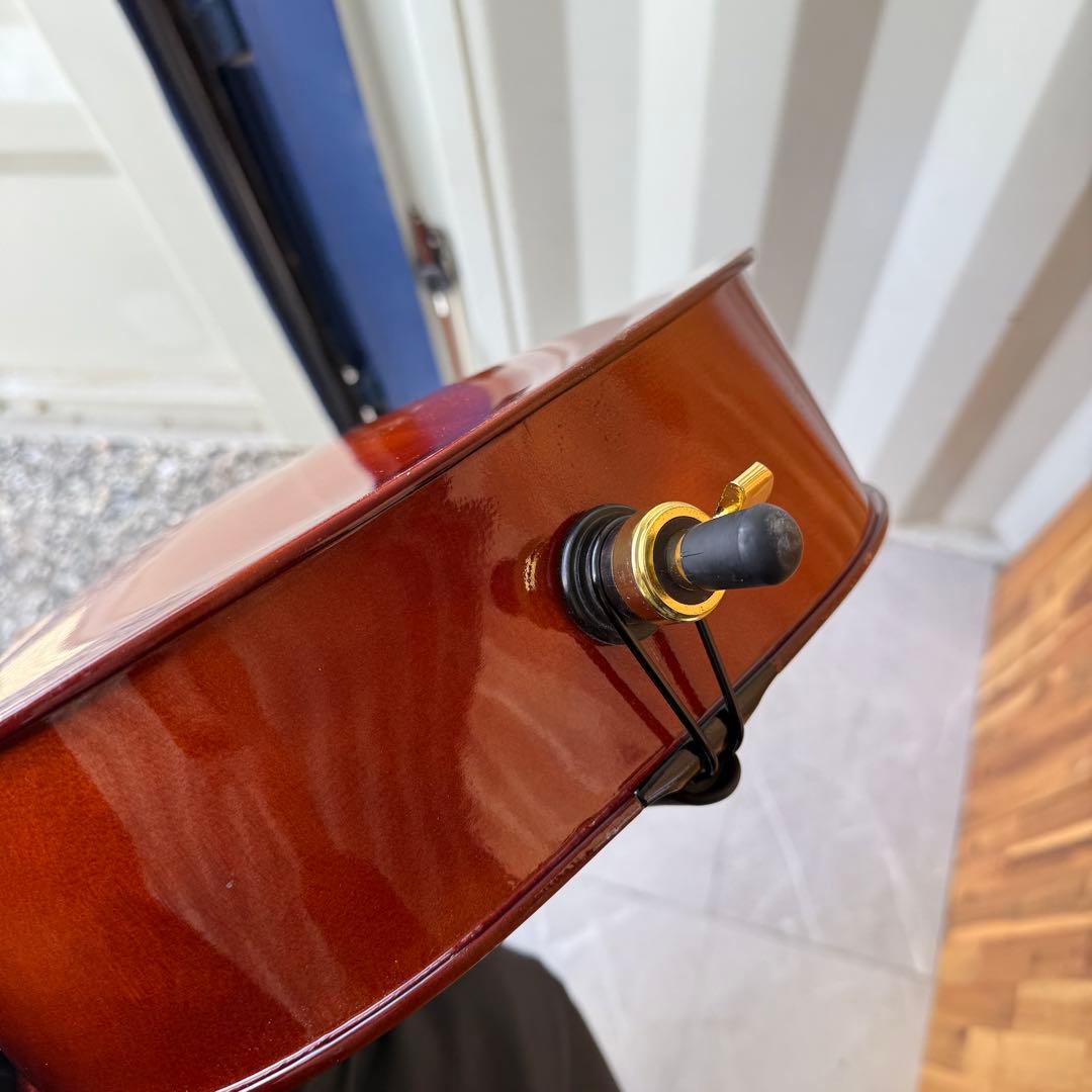 激安早い者勝ち✨ チェロ　Carlo Giordano SC-100