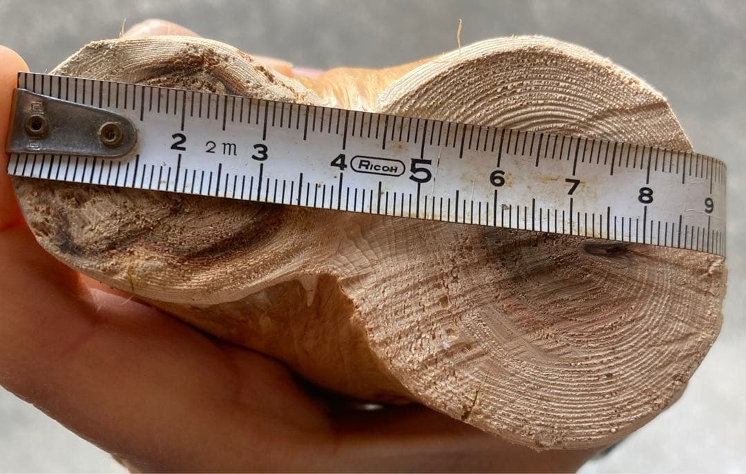 希少　樹齢150〜200年　杉枝　約143cm 鑑賞　庭　インテリア 骨董　華道