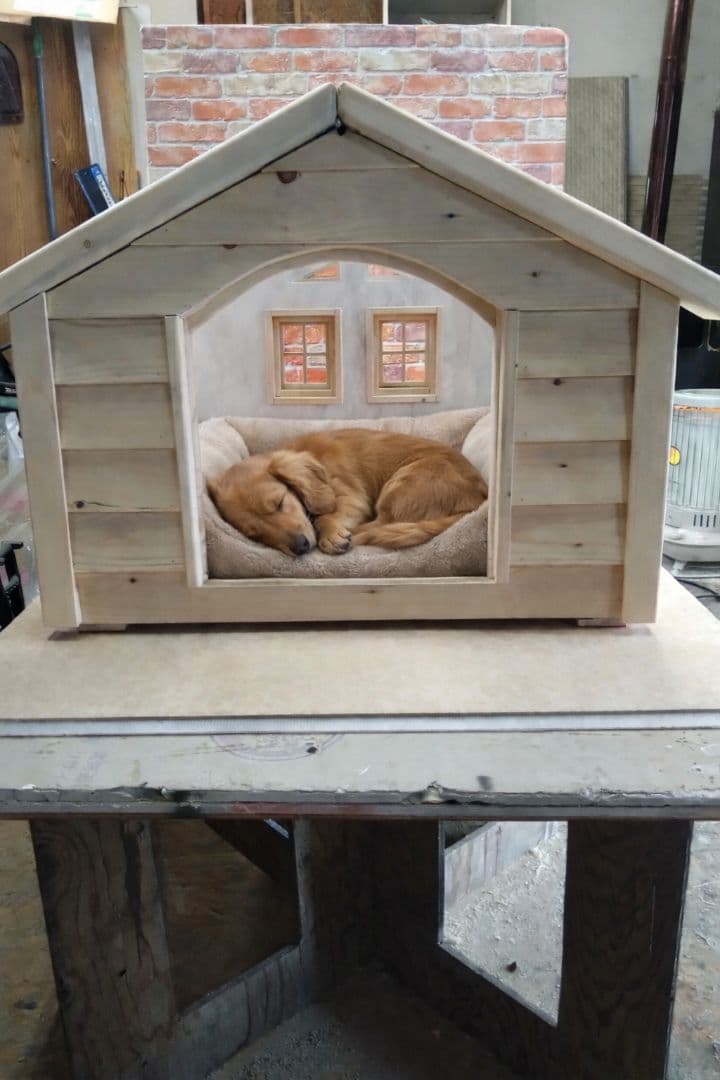 職人手作り 木製ペットハウス「Kenno」初号機　小型犬・猫用／室内用／特典付