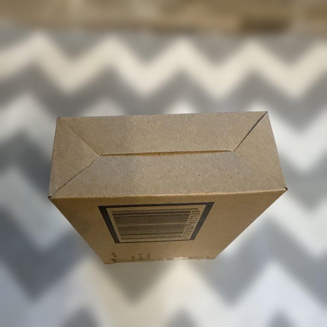 S.H.Figuarts 仮面ライダー１型ロッキングホッパー