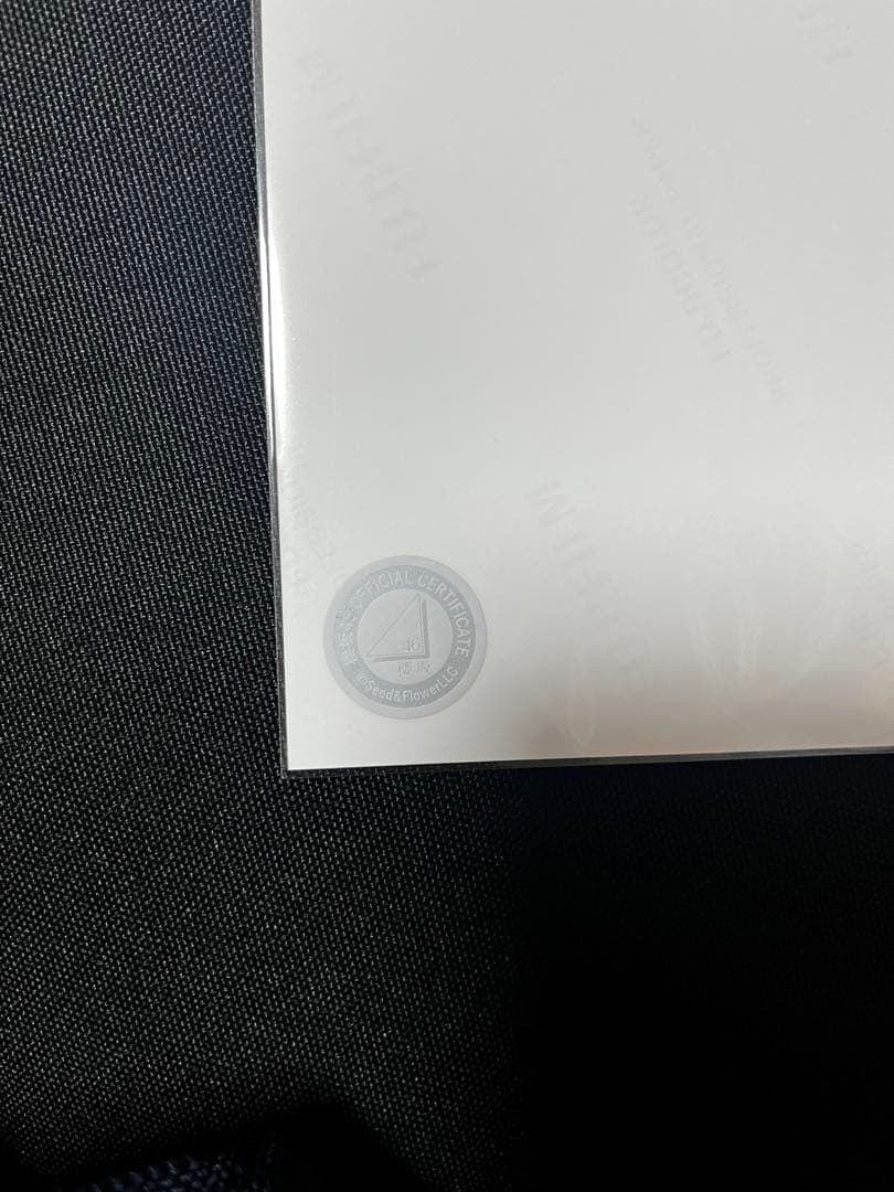 櫻坂46 遠藤光莉 2025年 サンタ衣装 直筆サイン