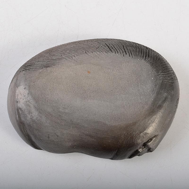 茶道具　香道具　貝形　香合　共箱　V　6541