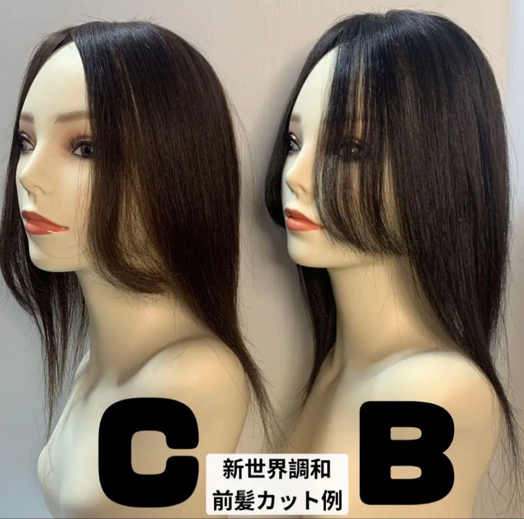 超人工肌総手植え+レース総手植えオールシーズンタイプ、蒸れなく快適な最高級レミー