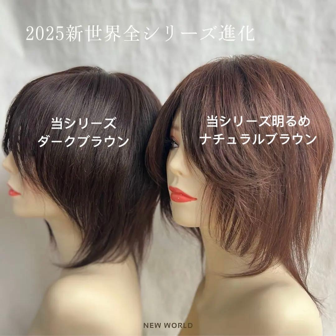 超人工肌総手植え+レース総手植えオールシーズンタイプ、蒸れなく快適な最高級レミー