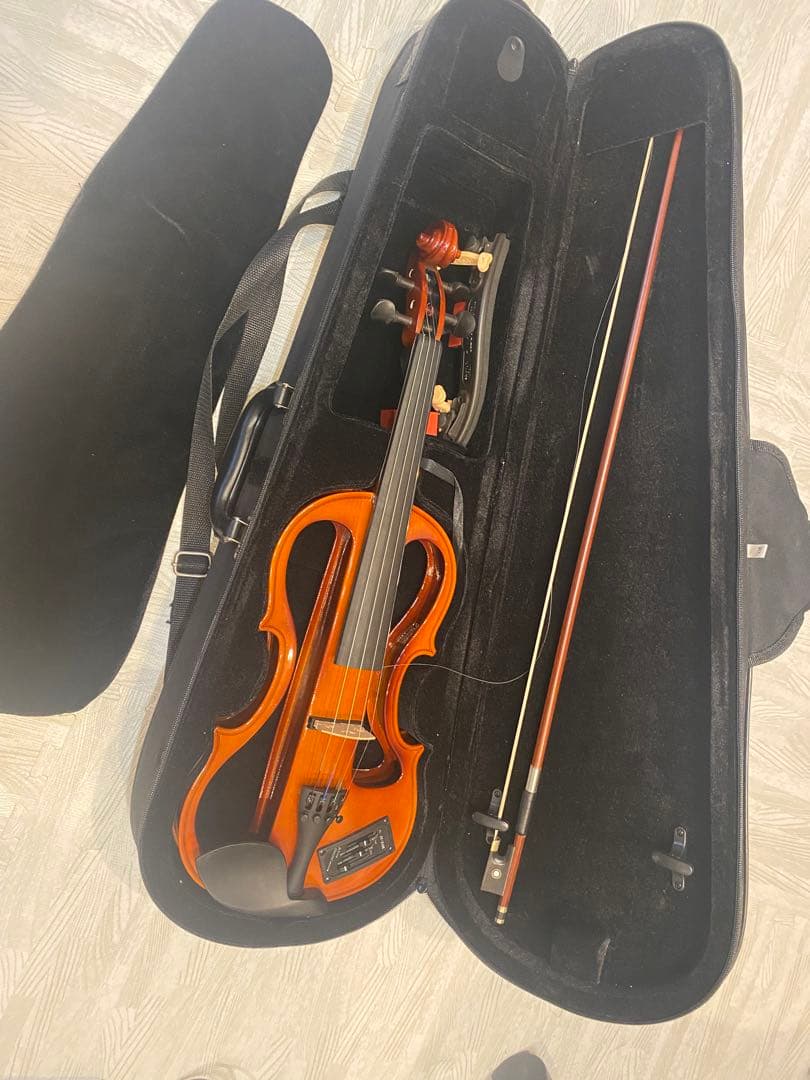 ？*様 定価約4万　carlo giordano EV-202 交換弦つき