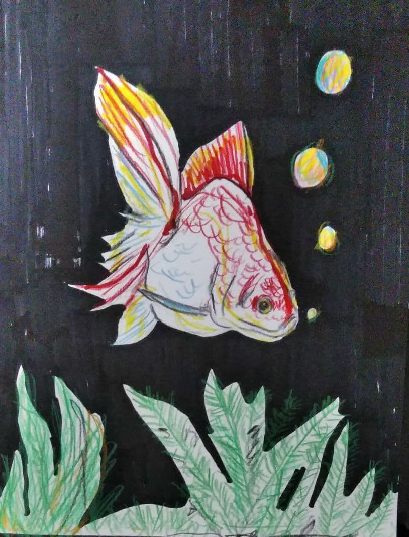 金魚　イラスト　絵画