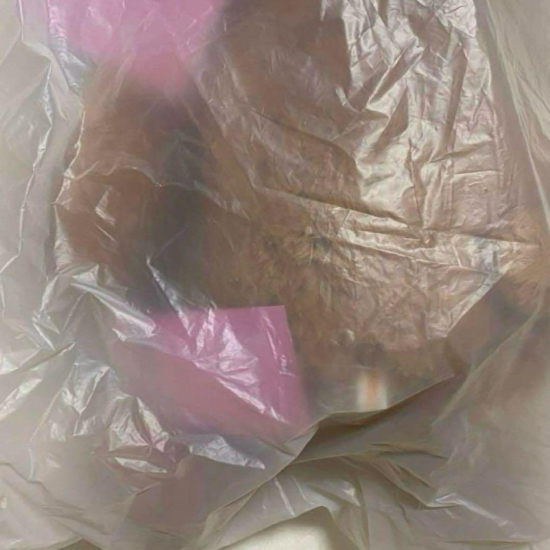 straykids skzoo テディベア　ハン