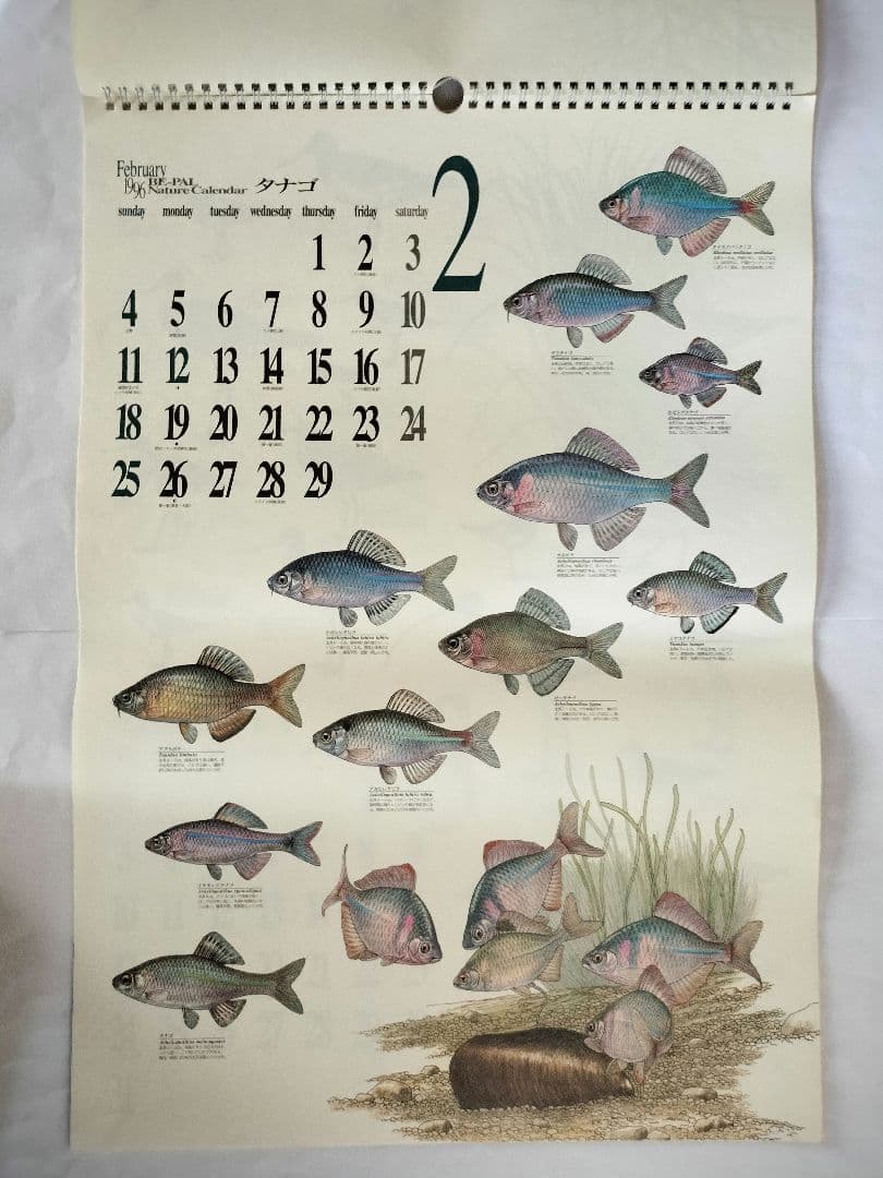 BE-PAL ビーパル カレンダー 新品未使用 1996年　ヴィンテージ