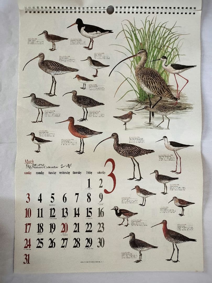 BE-PAL ビーパル カレンダー 新品未使用 1996年　ヴィンテージ