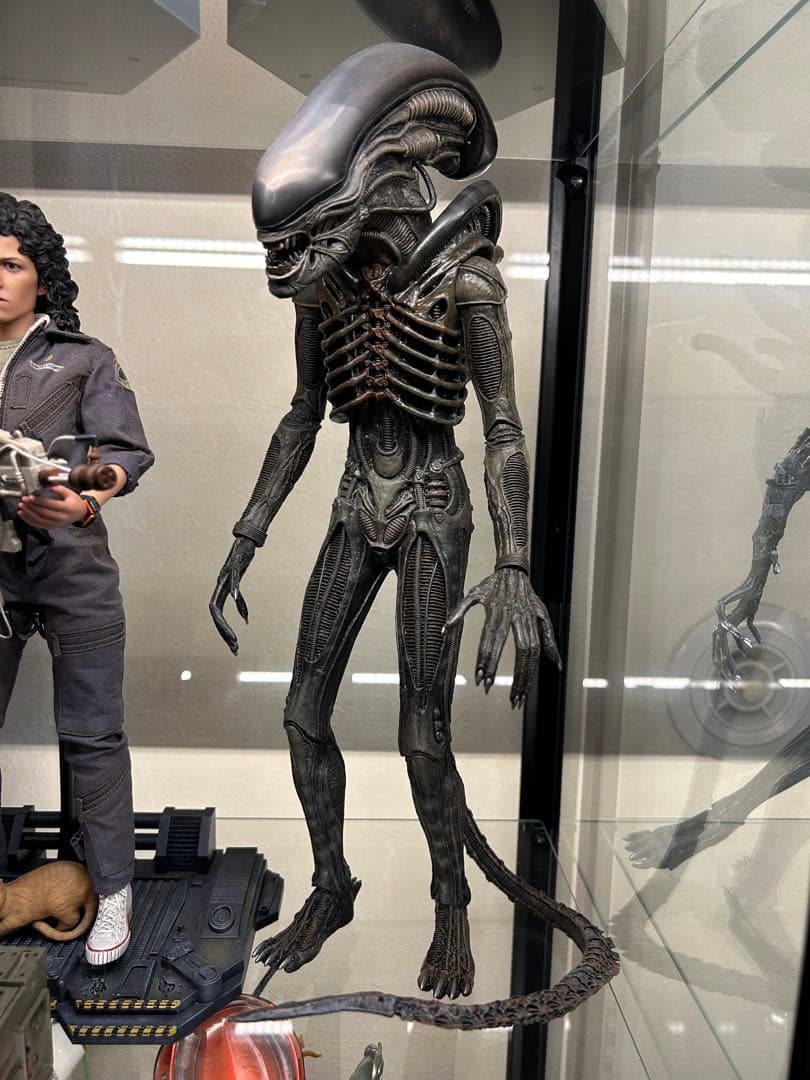 ホットトイズ エイリアン ビッグチャップ HOTTOYS