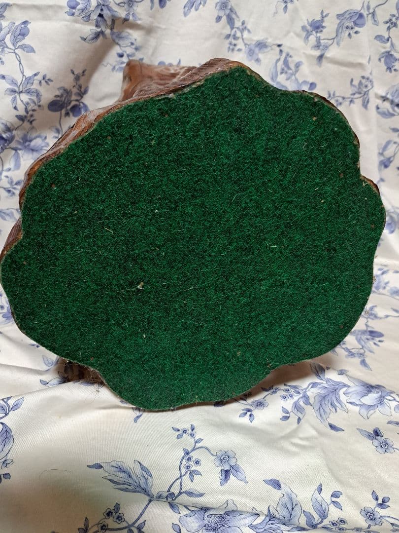 希少屋久杉　切り株置物