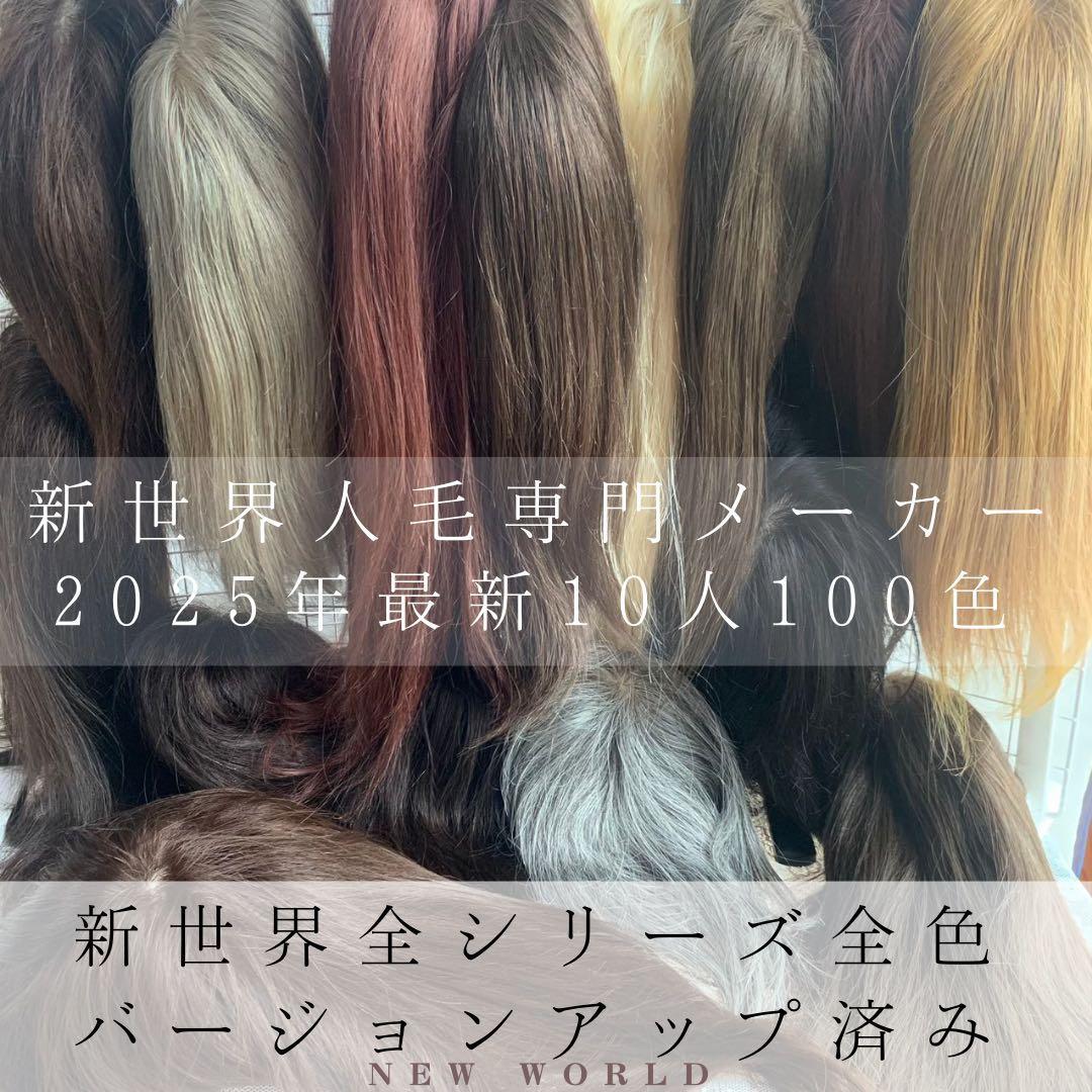 真・新健康シリーズ2025新世界人毛100%ウィッグMシルクスキン　医療ウィッグ