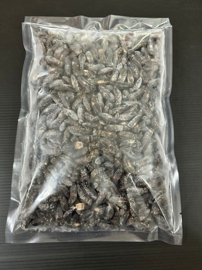 清潔コオロギ　S〜Mサイズ　2kg 冷凍コオロギ　クロコオロギ　フタホシコオロギ