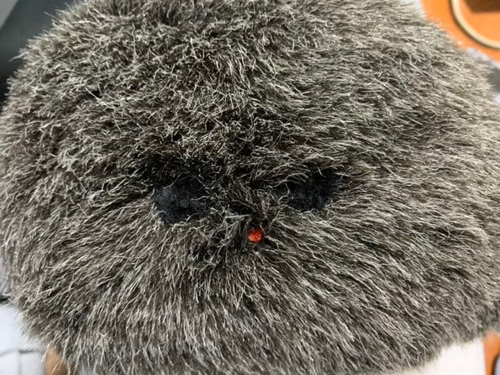 期間限定最終値下げ片岡メリヤス　ゴロゴロくん