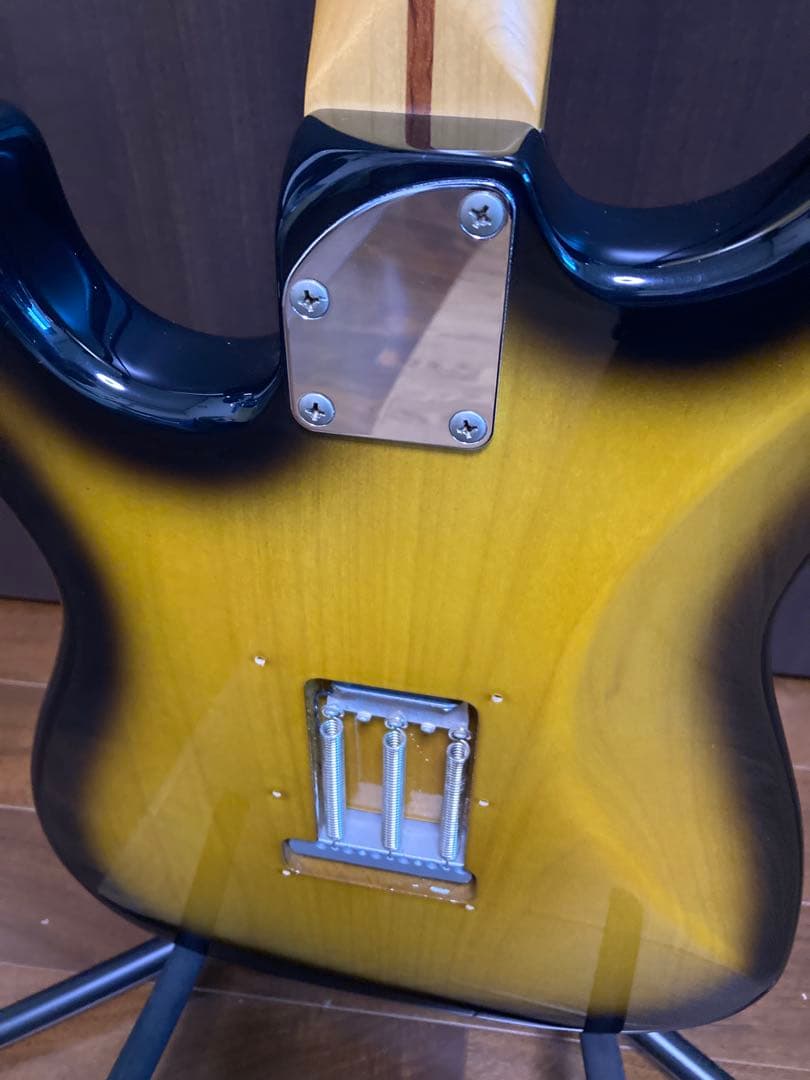 History Z1M-CFS 2TS 厚手専用ケース付き フジゲン製造