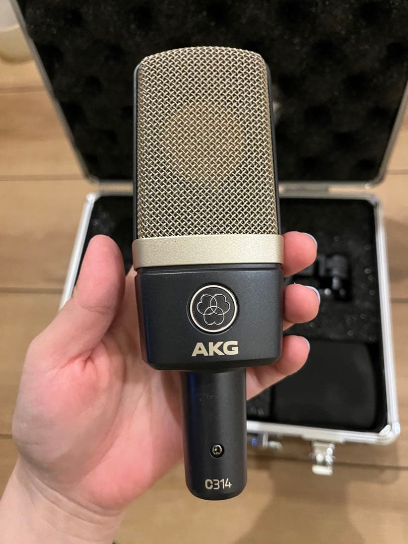 AKG（アーカーゲー）C314