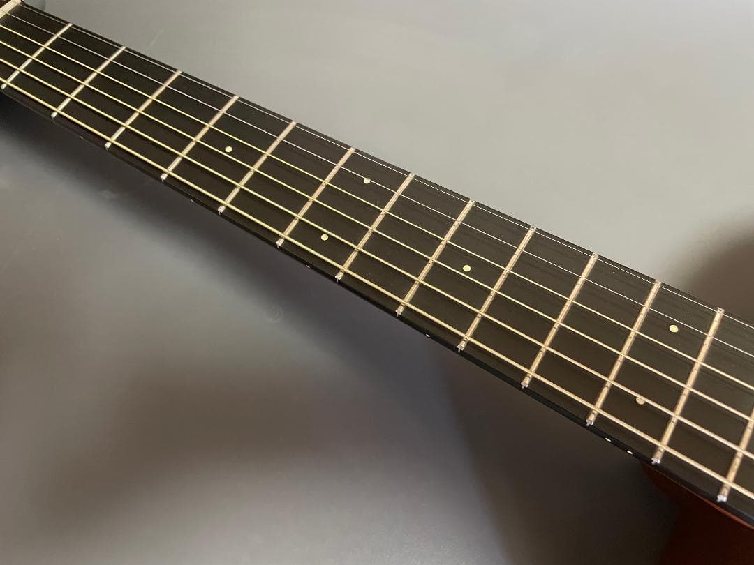 Martin 000RSGT オール単板